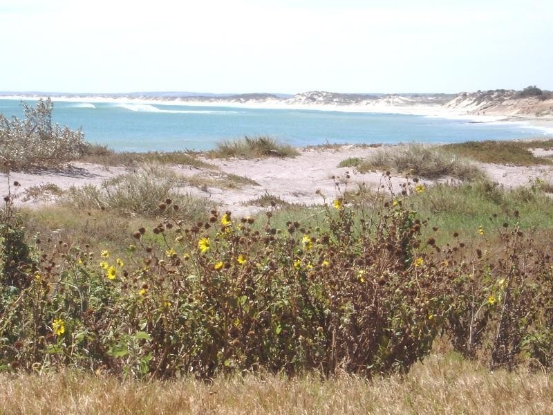 45A Charles Street, Bluff Point WA 6530