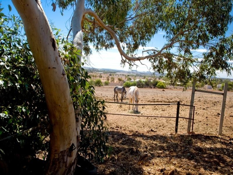 214 Giles Road, Moonyoonooka WA 6532