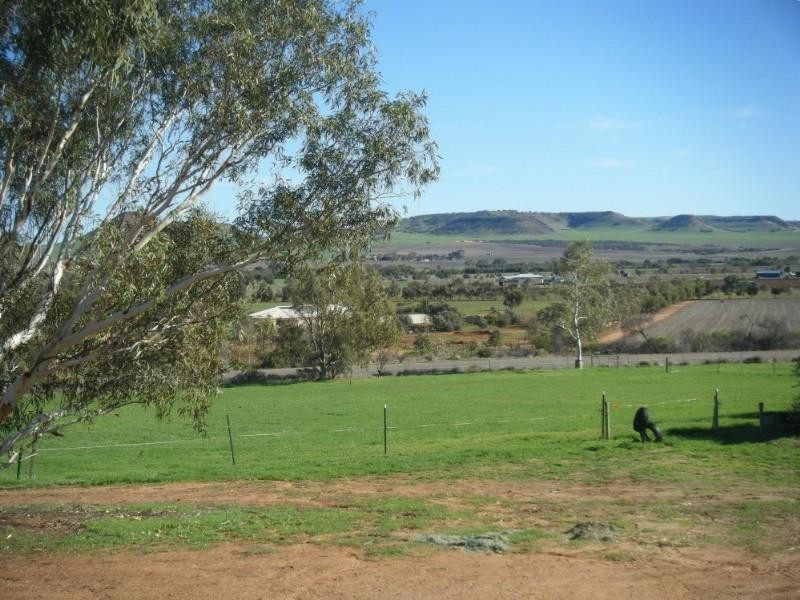 214 Giles Road, Moonyoonooka WA 6532