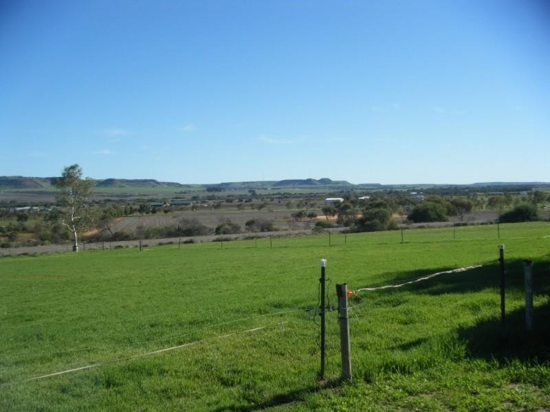 214 Giles Road, Moonyoonooka WA 6532