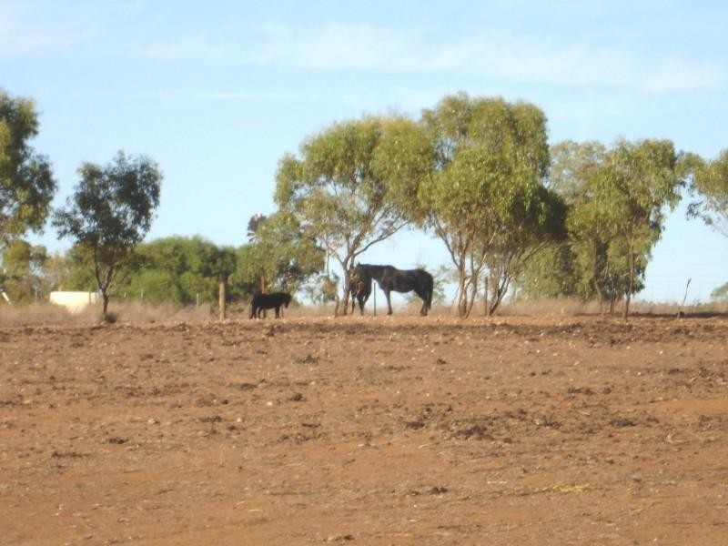 34 Isseka Rd East, Isseka WA 6535