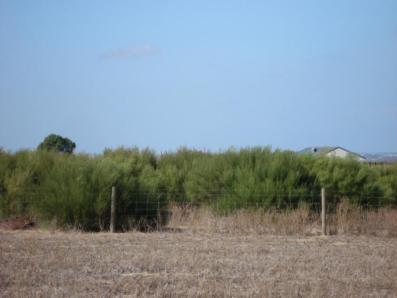 182 Wittenoom Circle, White Peak WA 6532