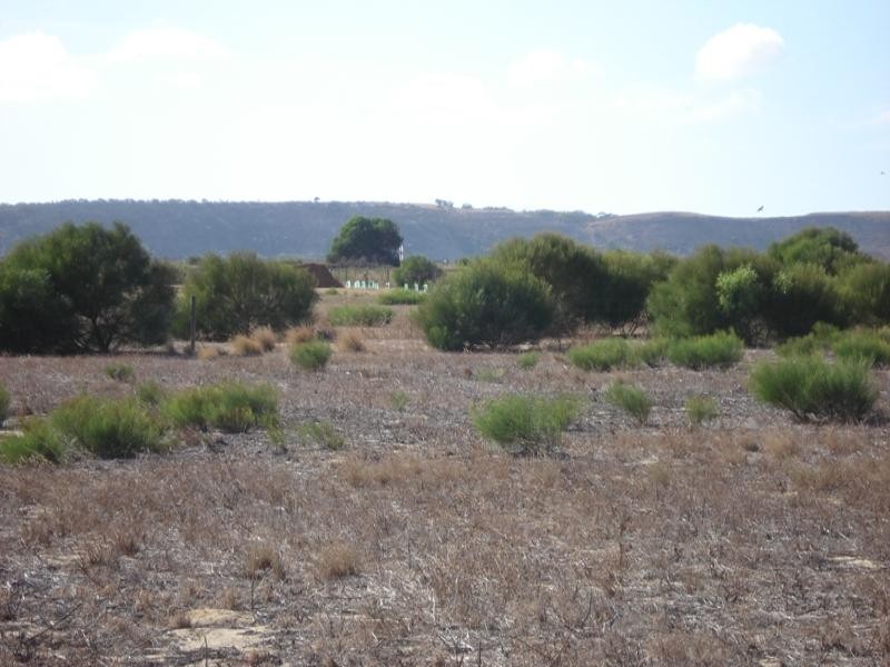 182 Wittenoom Circle, White Peak WA 6532