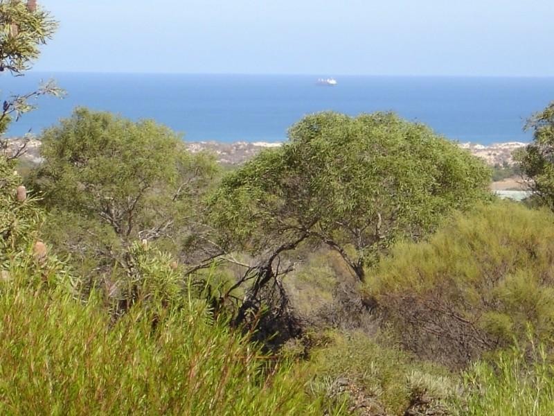 184 Cooper Street, Waggrakine WA 6530