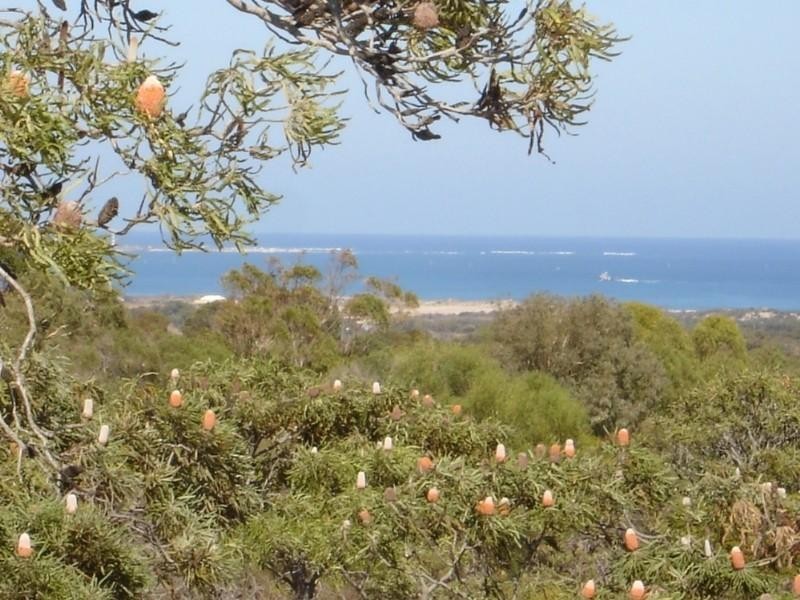 184 Cooper Street, Waggrakine WA 6530