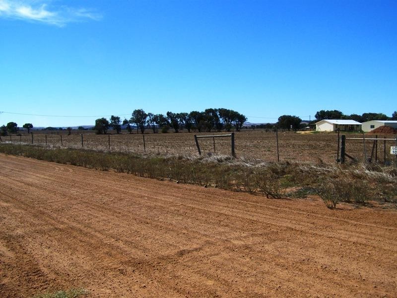 20 & 36 Meadow Lane, Walkaway WA 6528