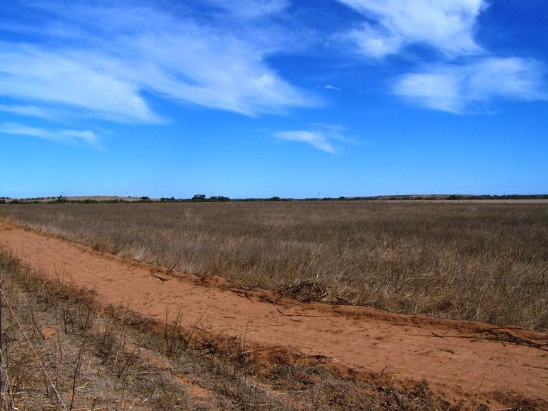 20 & 36 Meadow Lane, Walkaway WA 6528