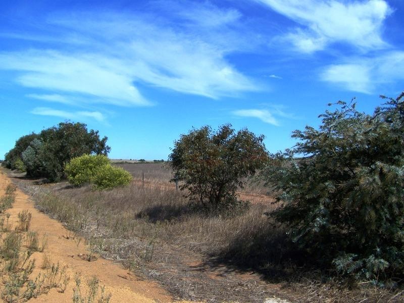 20 & 36 Meadow Lane, Walkaway WA 6528