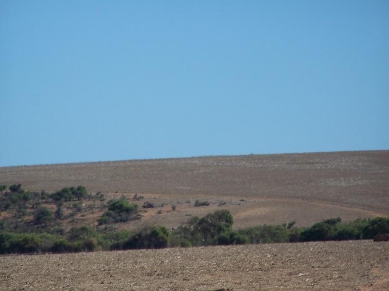 20 & 36 Meadow Lane, Walkaway WA 6528