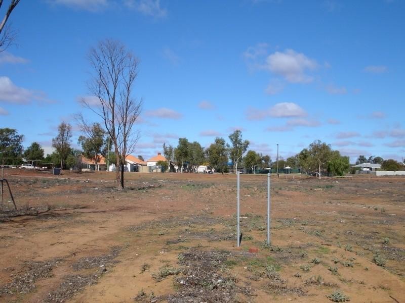 36 Stock Street, Mullewa WA 6630