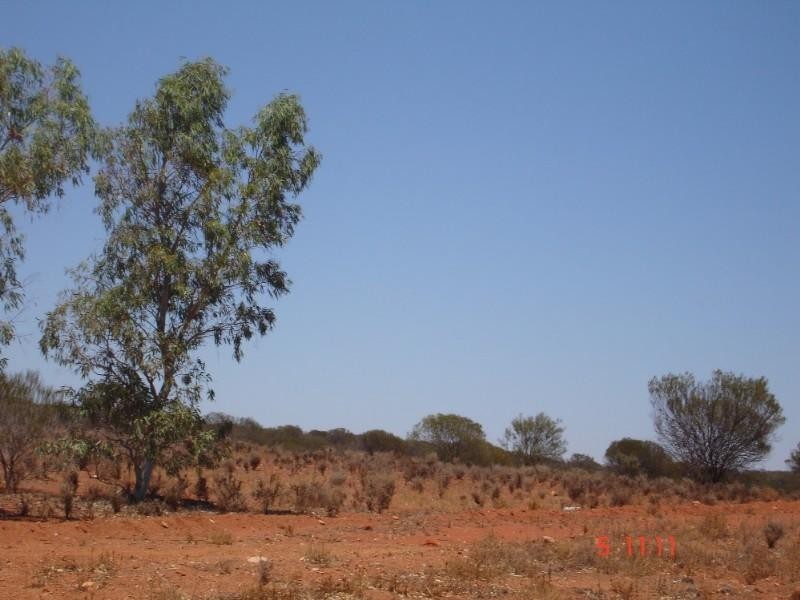 36 Stock Street, Mullewa WA 6630