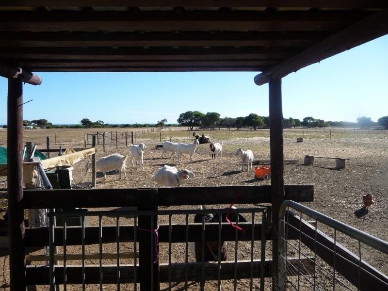 101 Hall Road, Waggrakine WA 6530