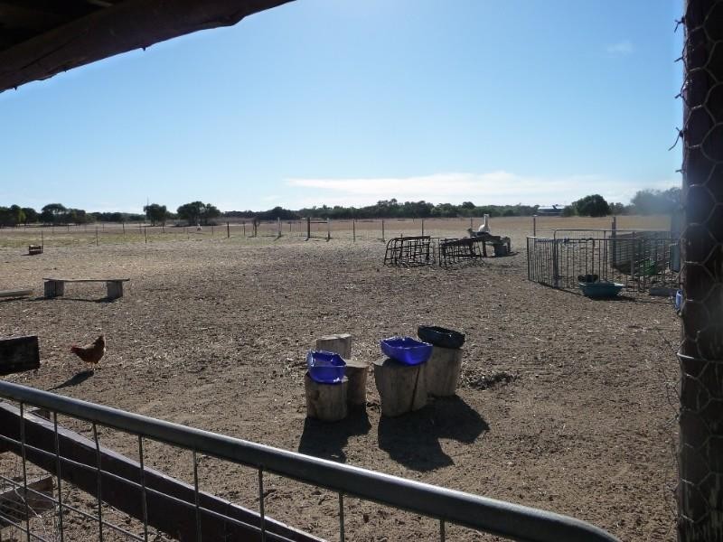 101 Hall Road, Waggrakine WA 6530