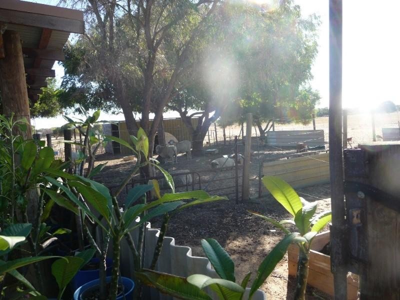 101 Hall Road, Waggrakine WA 6530