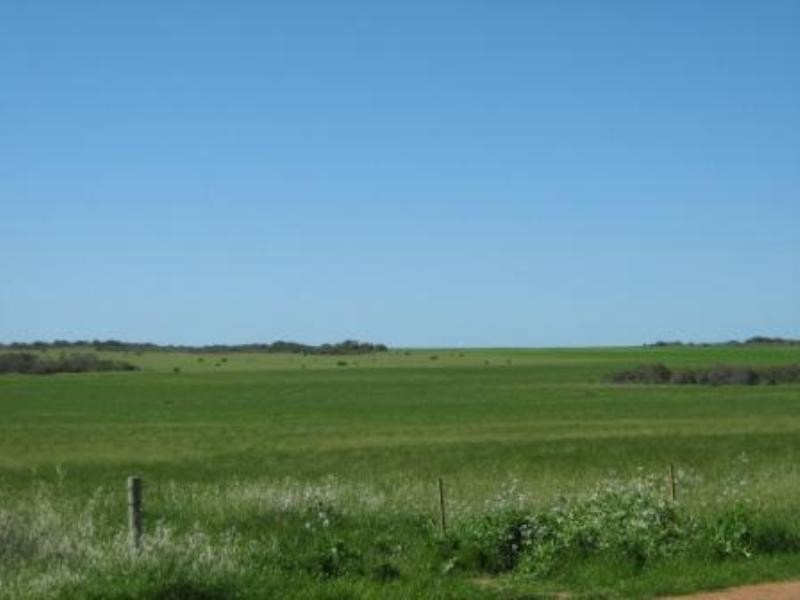 2297 Henry Road, Greenough WA 6532