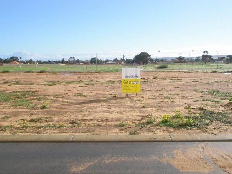 48 Brockagh Drive, Utakarra WA 6530