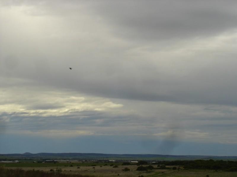 44 Eakins Crescent, Wandina WA 6530