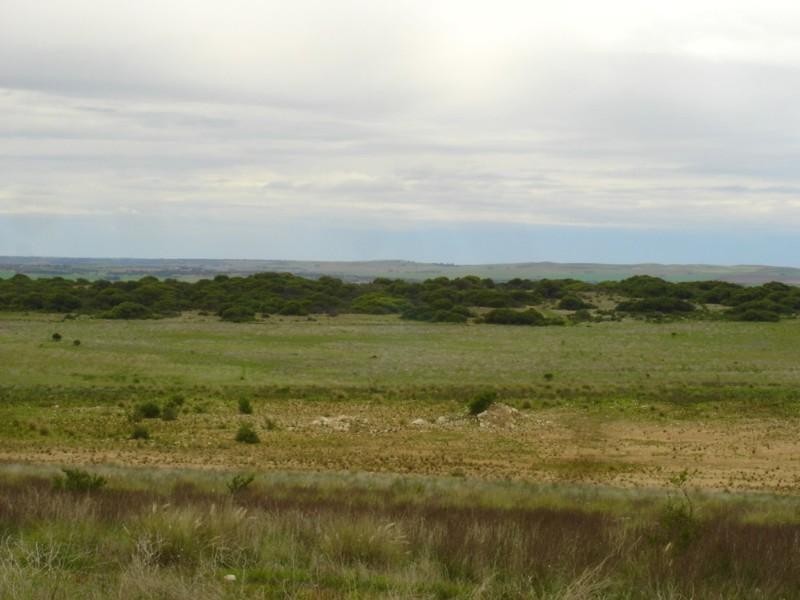 44 Eakins Crescent, Wandina WA 6530