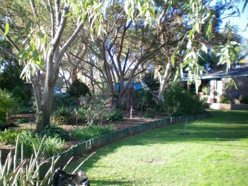 91 Arnold Road, Waggrakine WA 6530