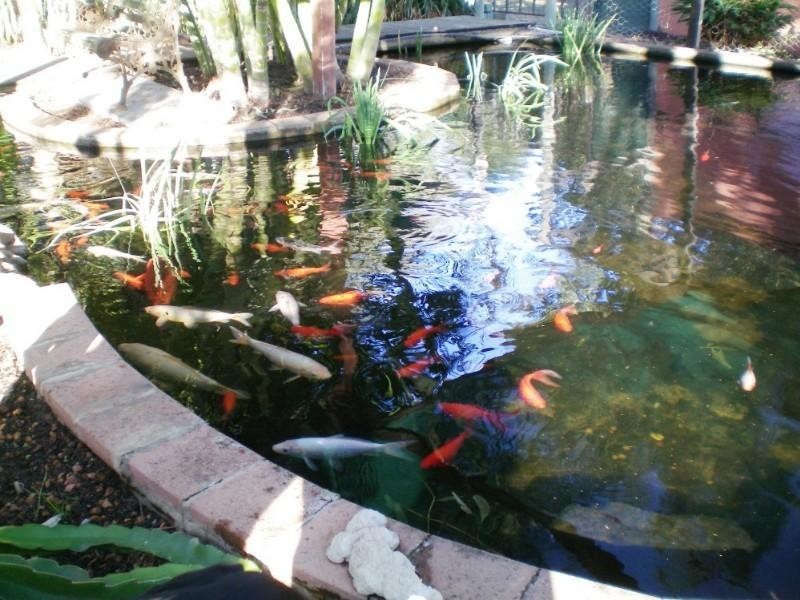 91 Arnold Road, Waggrakine WA 6530