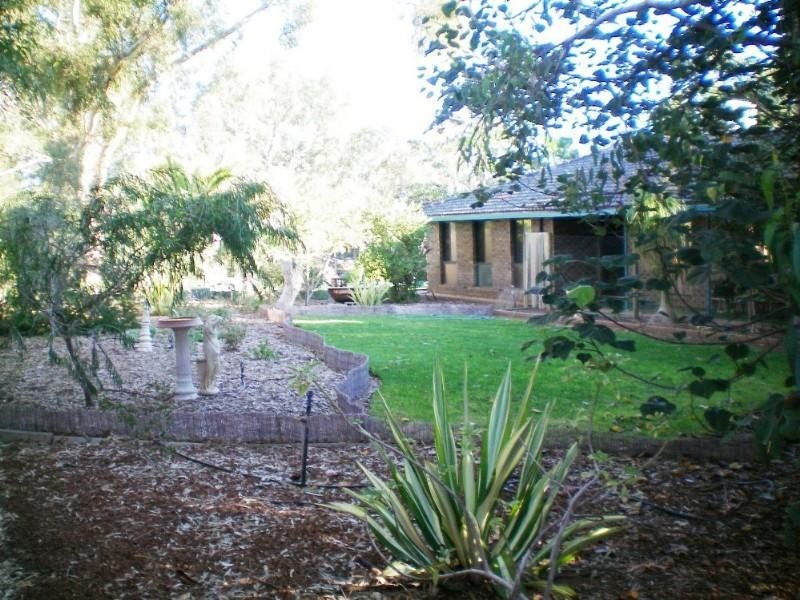 91 Arnold Road, Waggrakine WA 6530