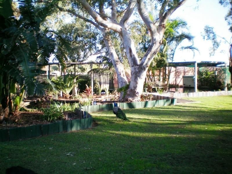 91 Arnold Road, Waggrakine WA 6530