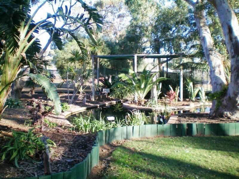 91 Arnold Road, Waggrakine WA 6530