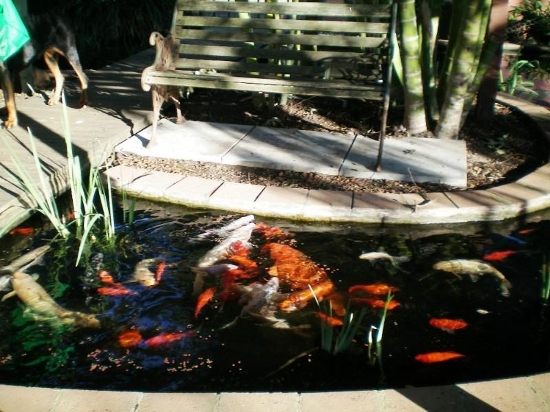 91 Arnold Road, Waggrakine WA 6530