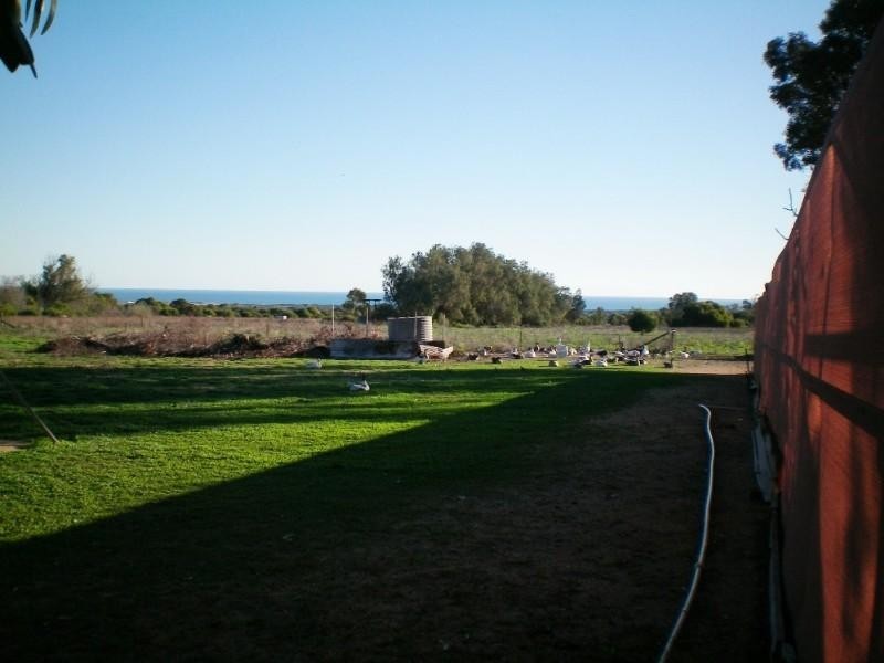 91 Arnold Road, Waggrakine WA 6530