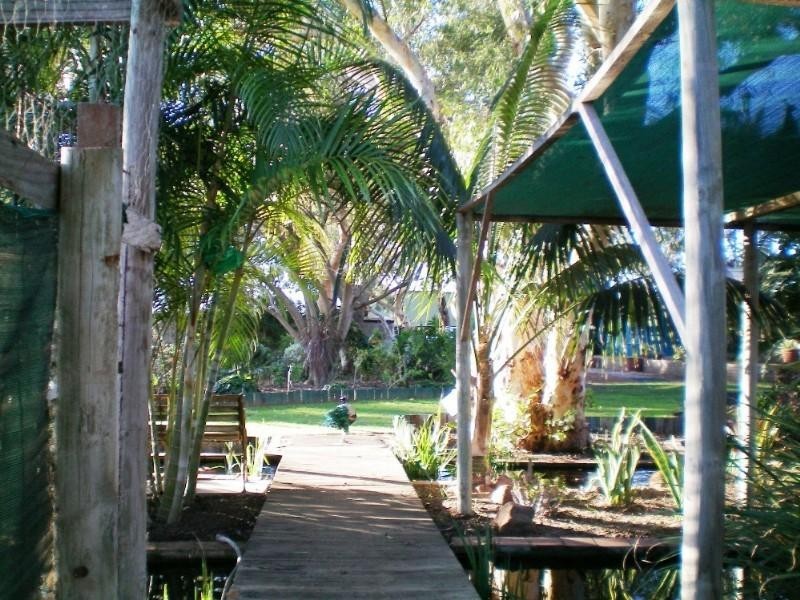 91 Arnold Road, Waggrakine WA 6530