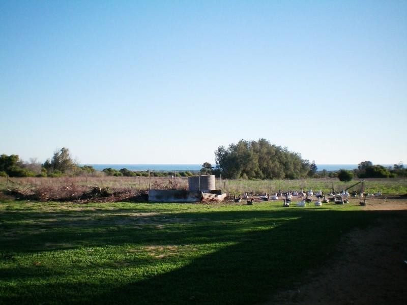 91 Arnold Road, Waggrakine WA 6530