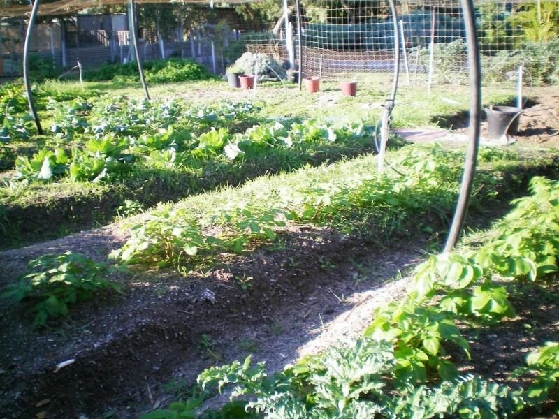 91 Arnold Road, Waggrakine WA 6530