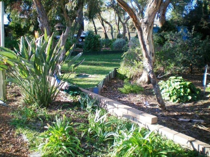 91 Arnold Road, Waggrakine WA 6530