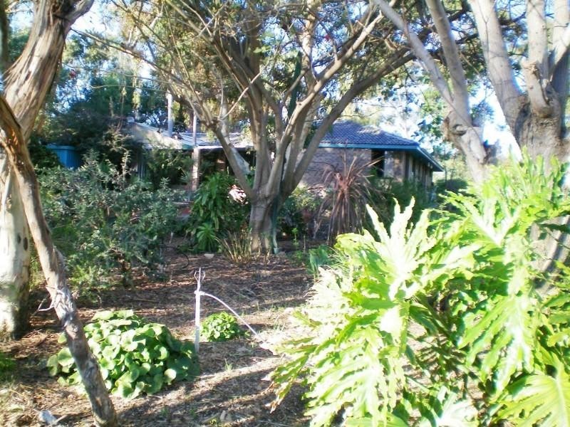 91 Arnold Road, Waggrakine WA 6530