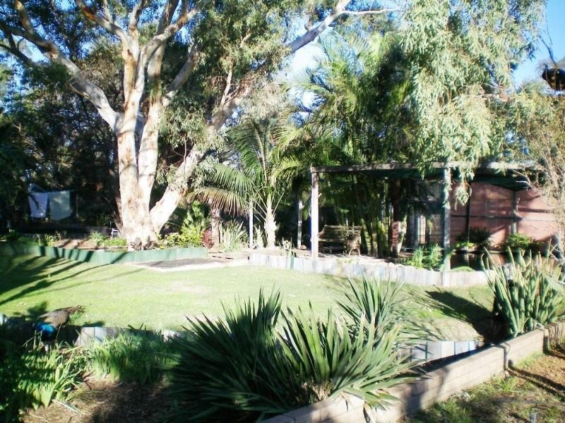 91 Arnold Road, Waggrakine WA 6530