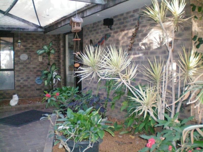 91 Arnold Road, Waggrakine WA 6530