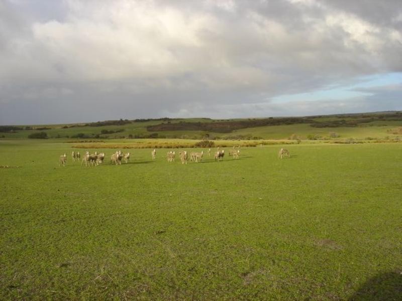 2 Ahern Road, Nabawa WA 6532