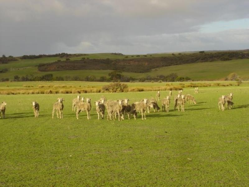 2 Ahern Road, Nabawa WA 6532