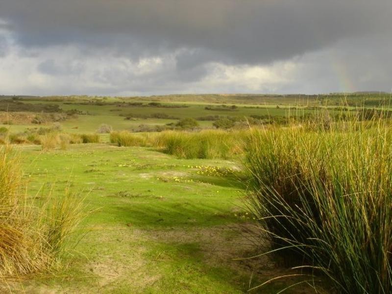 2 Ahern Road, Nabawa WA 6532