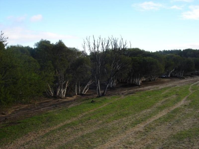 2 Ahern Road, Nabawa WA 6532