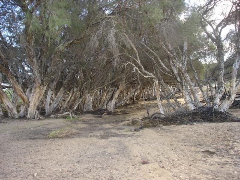 2 Ahern Road, Nabawa WA 6532