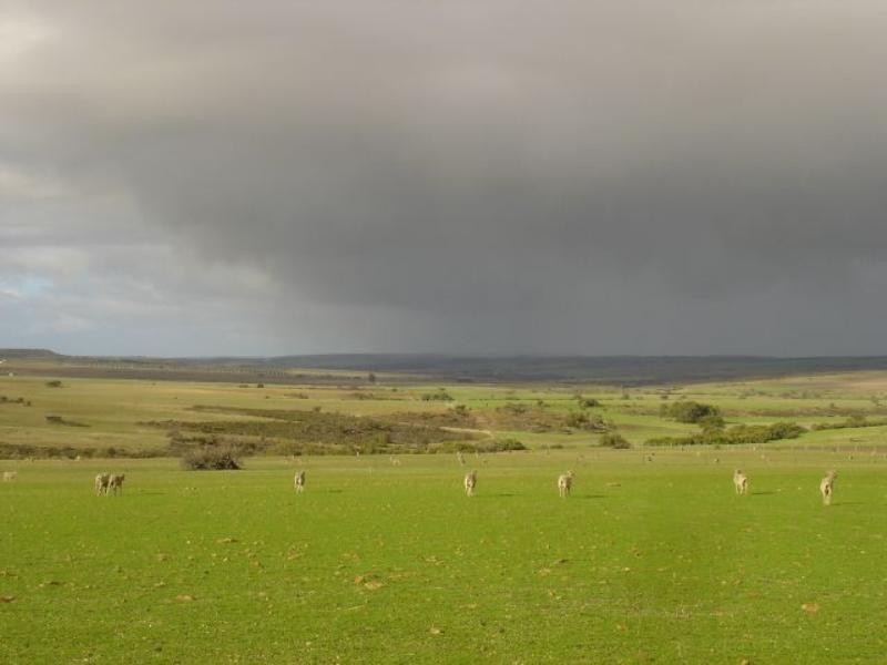 2 Ahern Road, Nabawa WA 6532