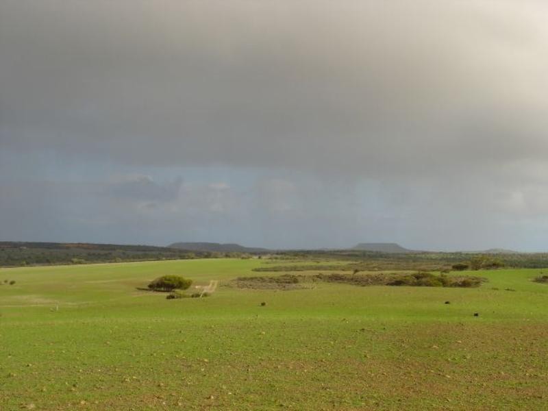 2 Ahern Road, Nabawa WA 6532