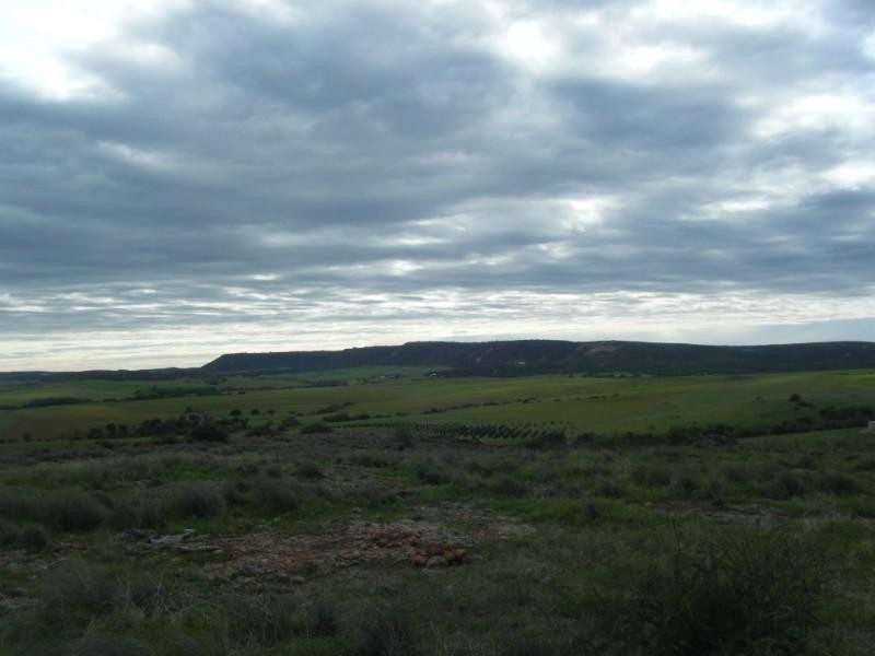 29 Royce Place, White Peak WA 6532