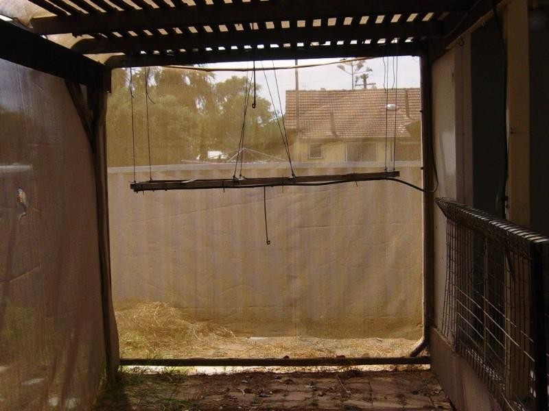 16 Cassia Street, Geraldton WA 6530