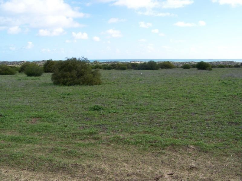 LOT 342 Alexander Drive, Glenfield WA 6532