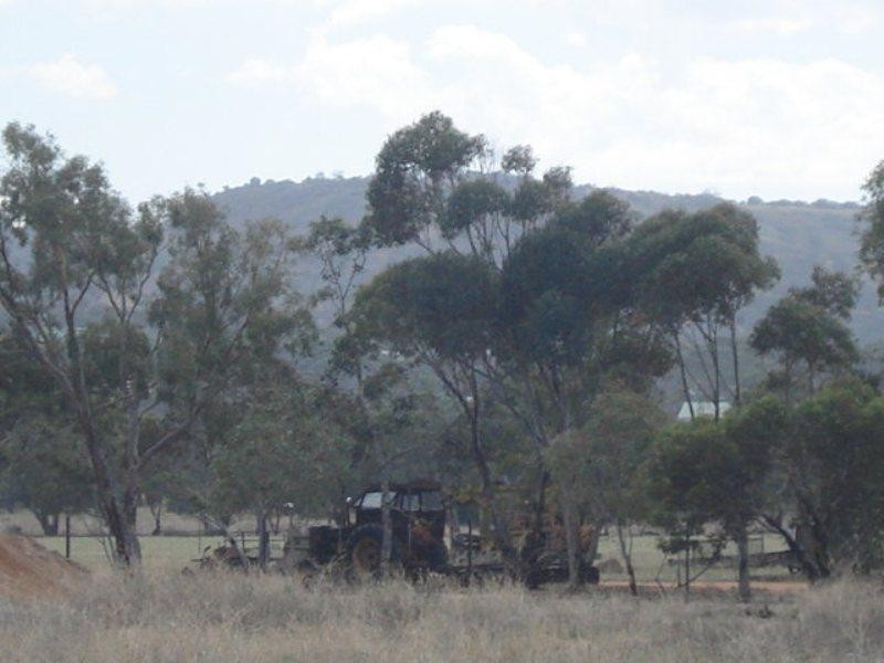 59 Sutcliffe Road, Waggrakine WA 6530