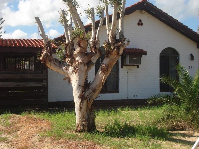 27A/1 jenner Court, Spalding WA 6530