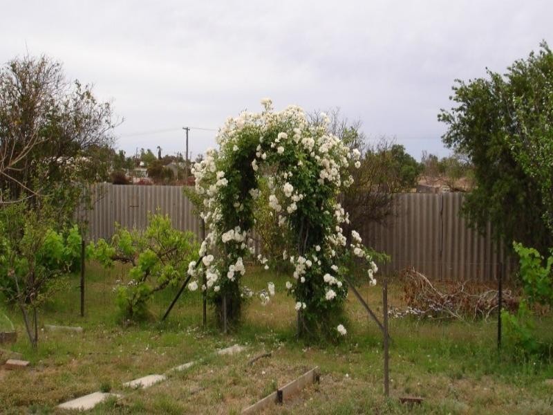 47 Maitland Close, Mullewa WA 6630