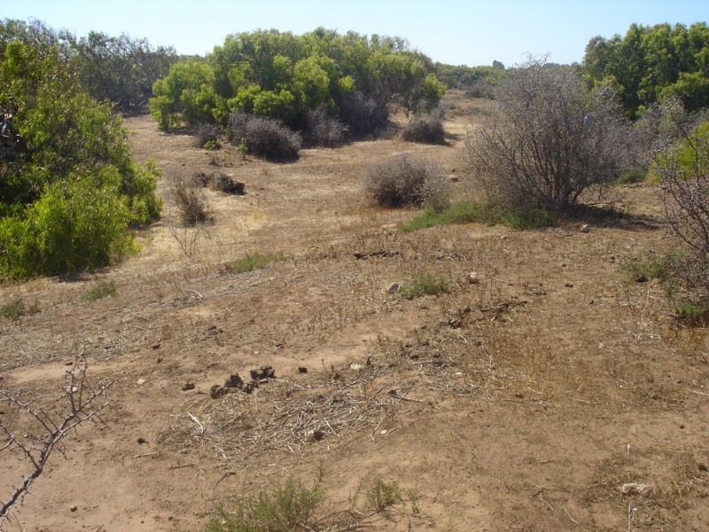 Lot 201 Company Road, Greenough WA 6532